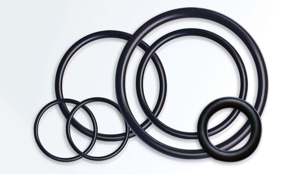 Holland Applied Technologies 2-220 USP CLASS VI EPDM O-RING, Quantity: |  Fisher Scientific